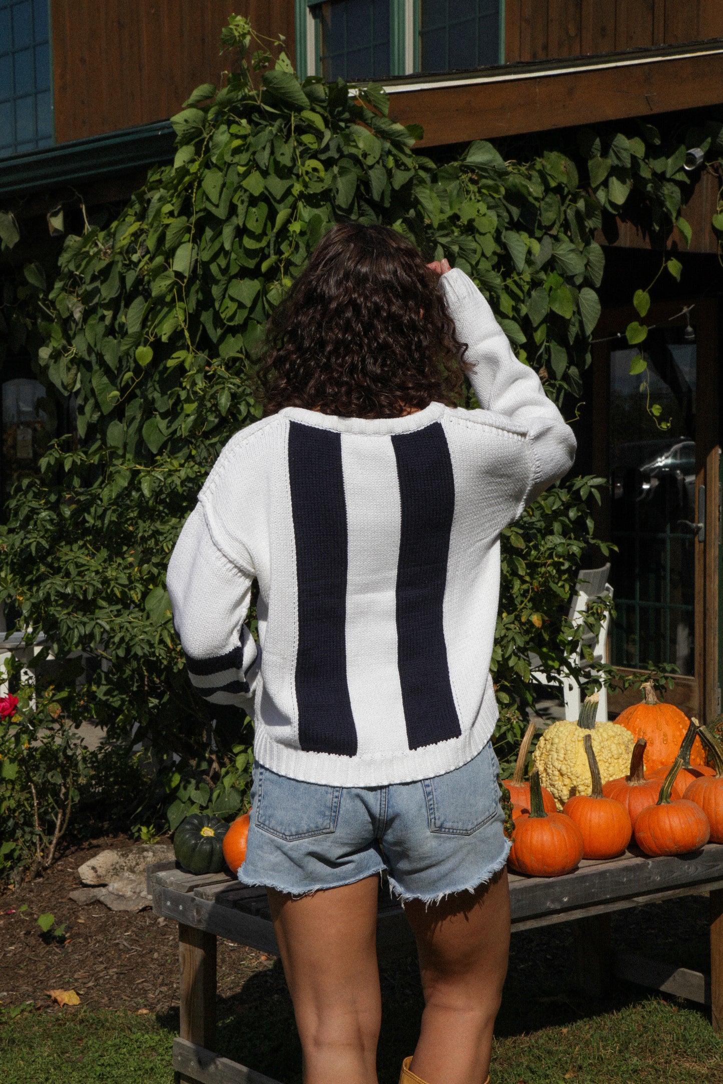 Cotton Jersey Sweater