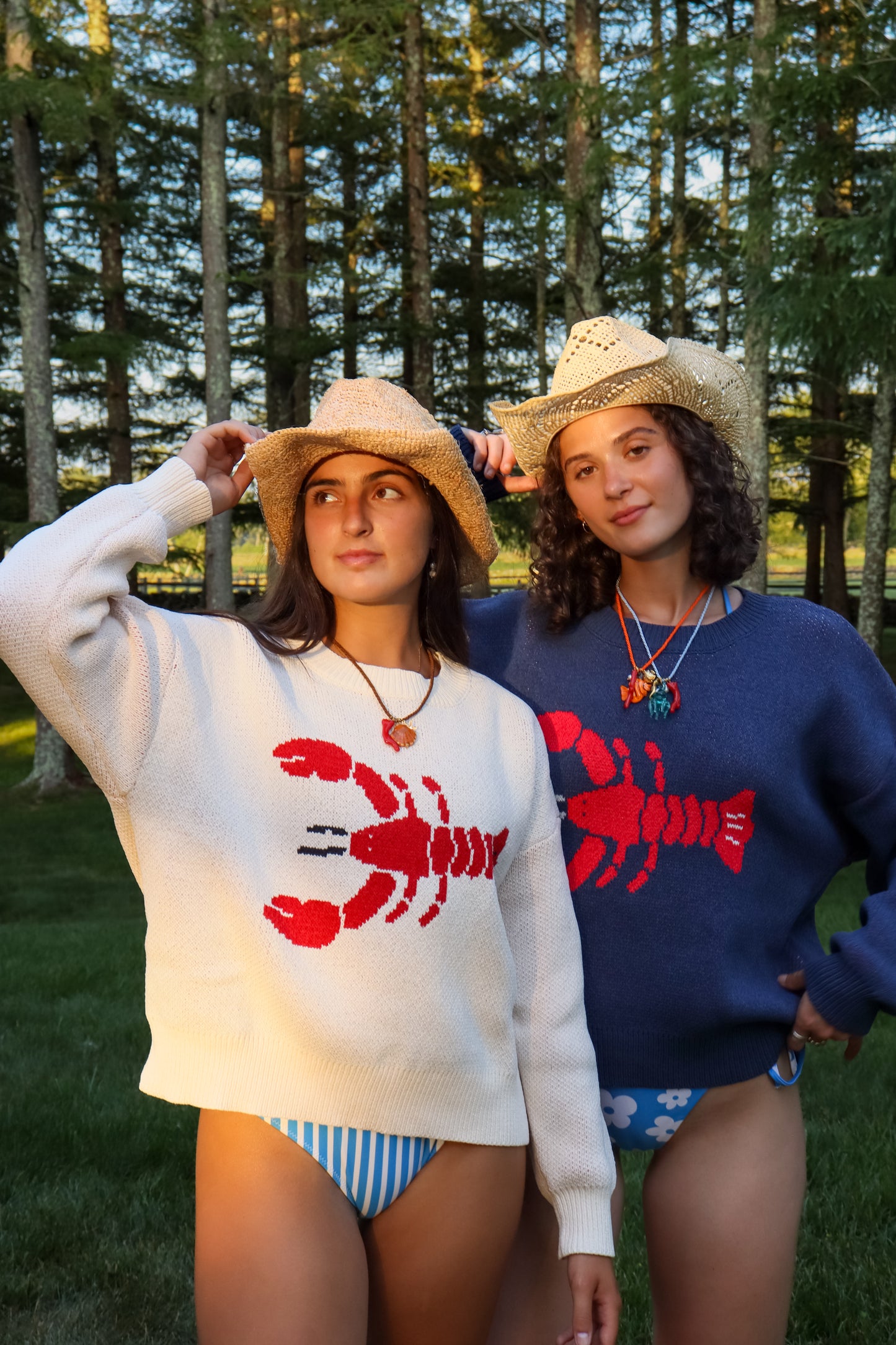 Navy Lobster Sweater