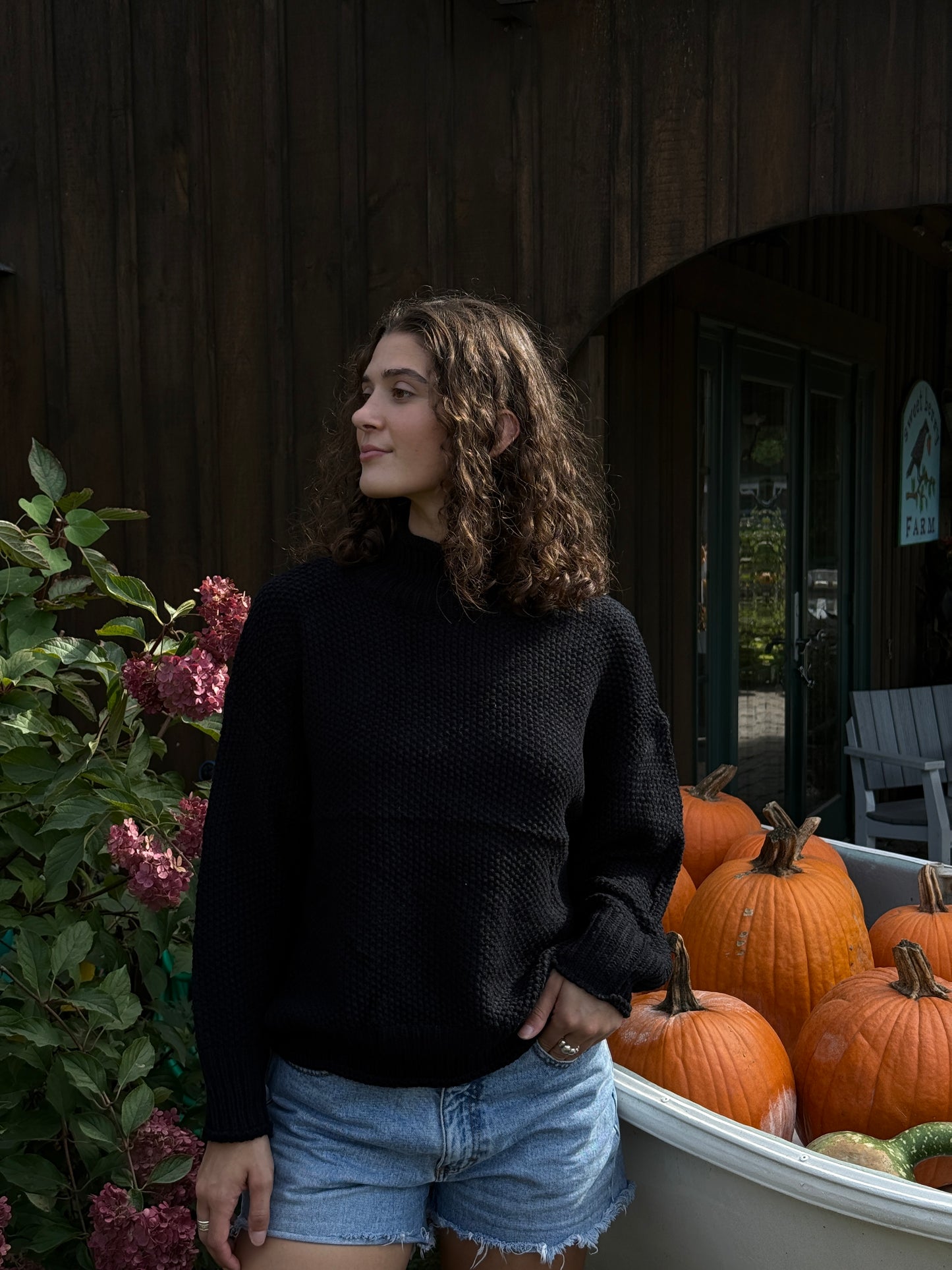 Lorelai Black Mockneck Sweater