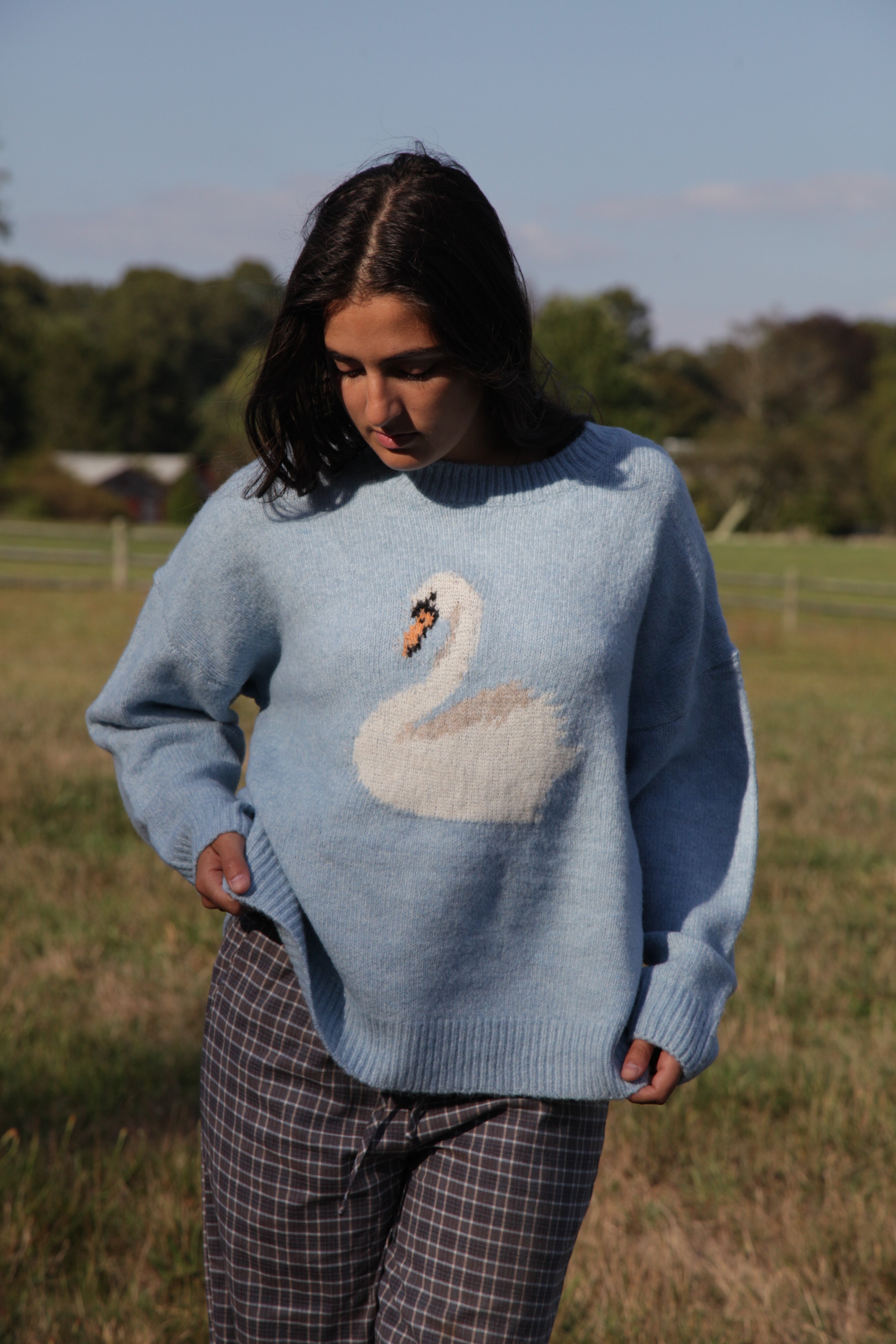 Swan Sweater – The Sundance Company