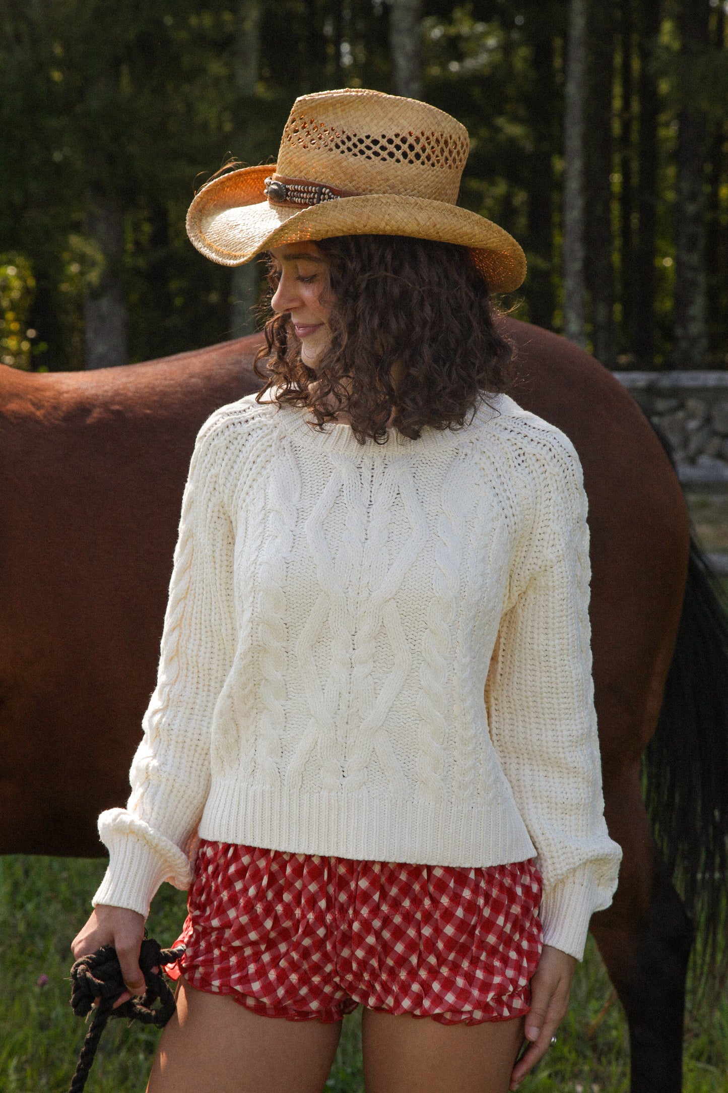 Cowboy Cropped Sweater