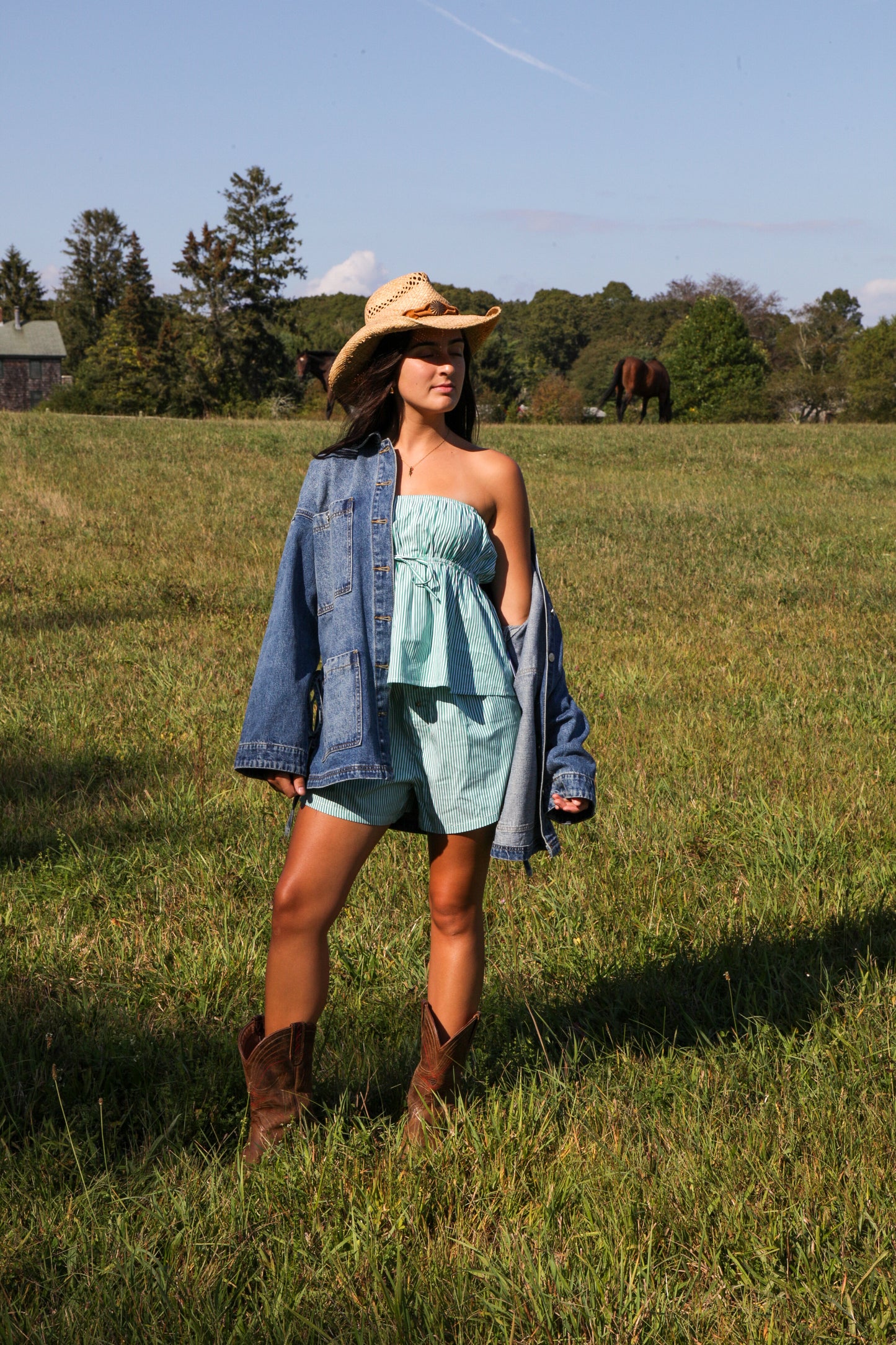 Poplin Striped Shorts