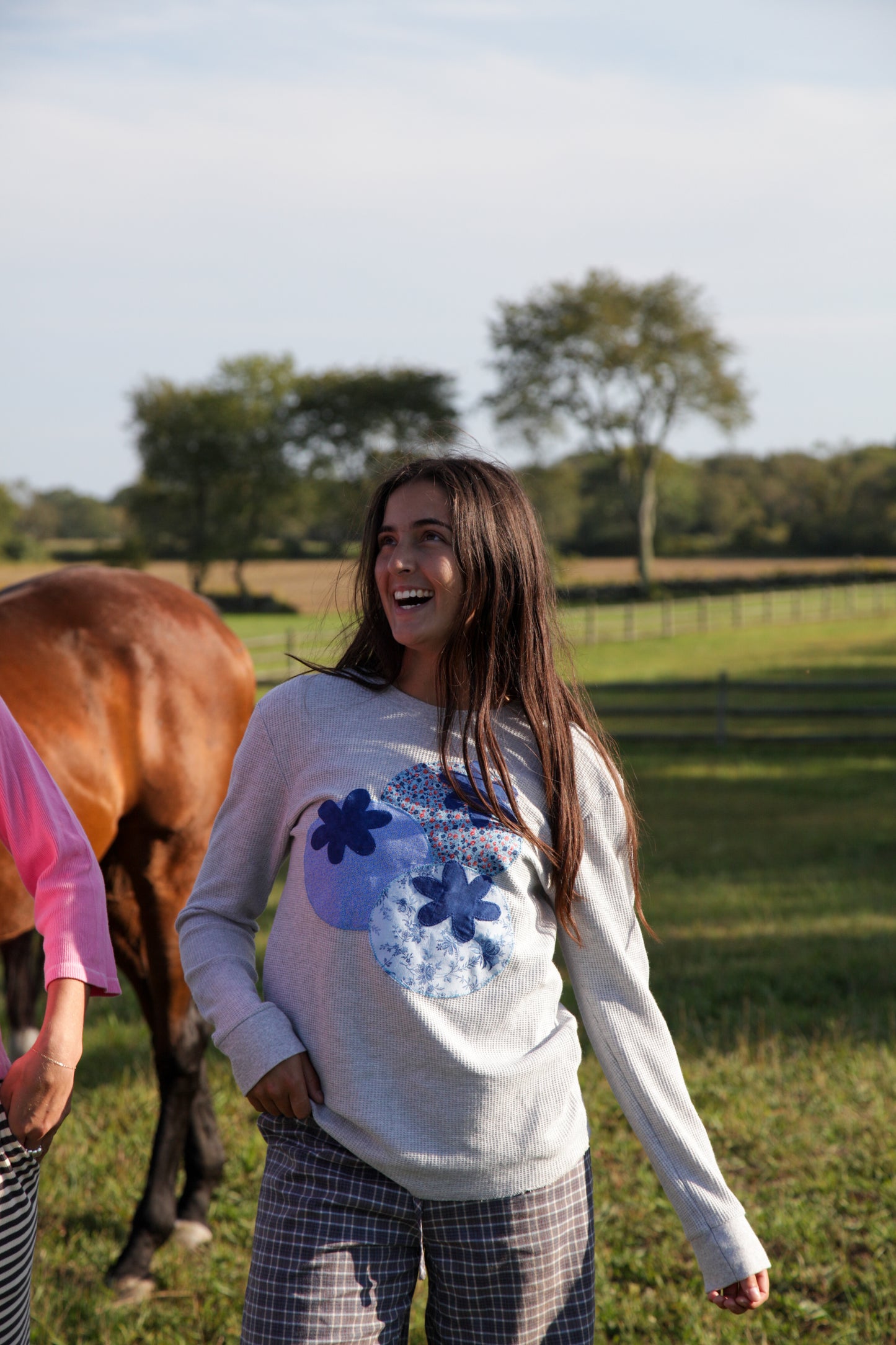 Blueberry Farm Stand Patchwork