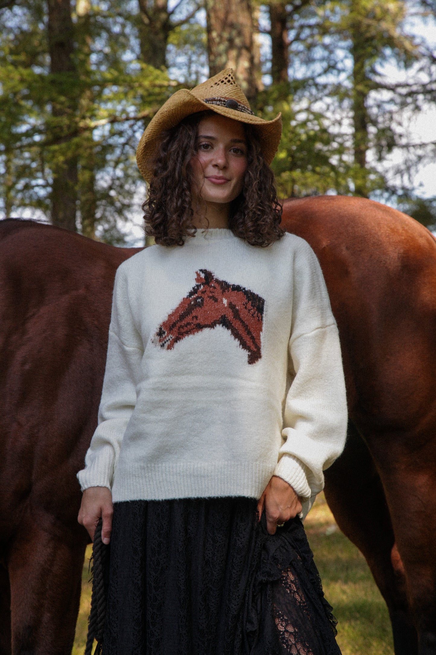 Horse Sweater