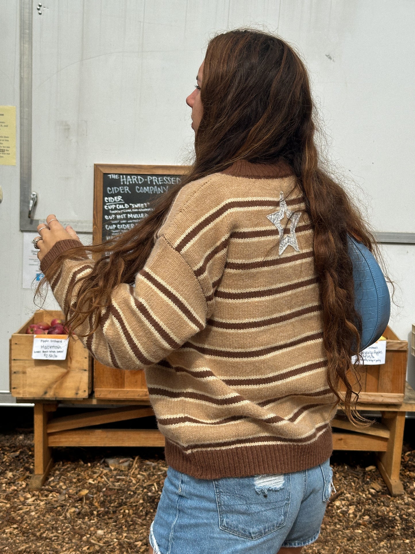 Brown Sugar Star Sweater