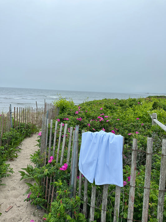 The Vineyard Striped Swim Trunks