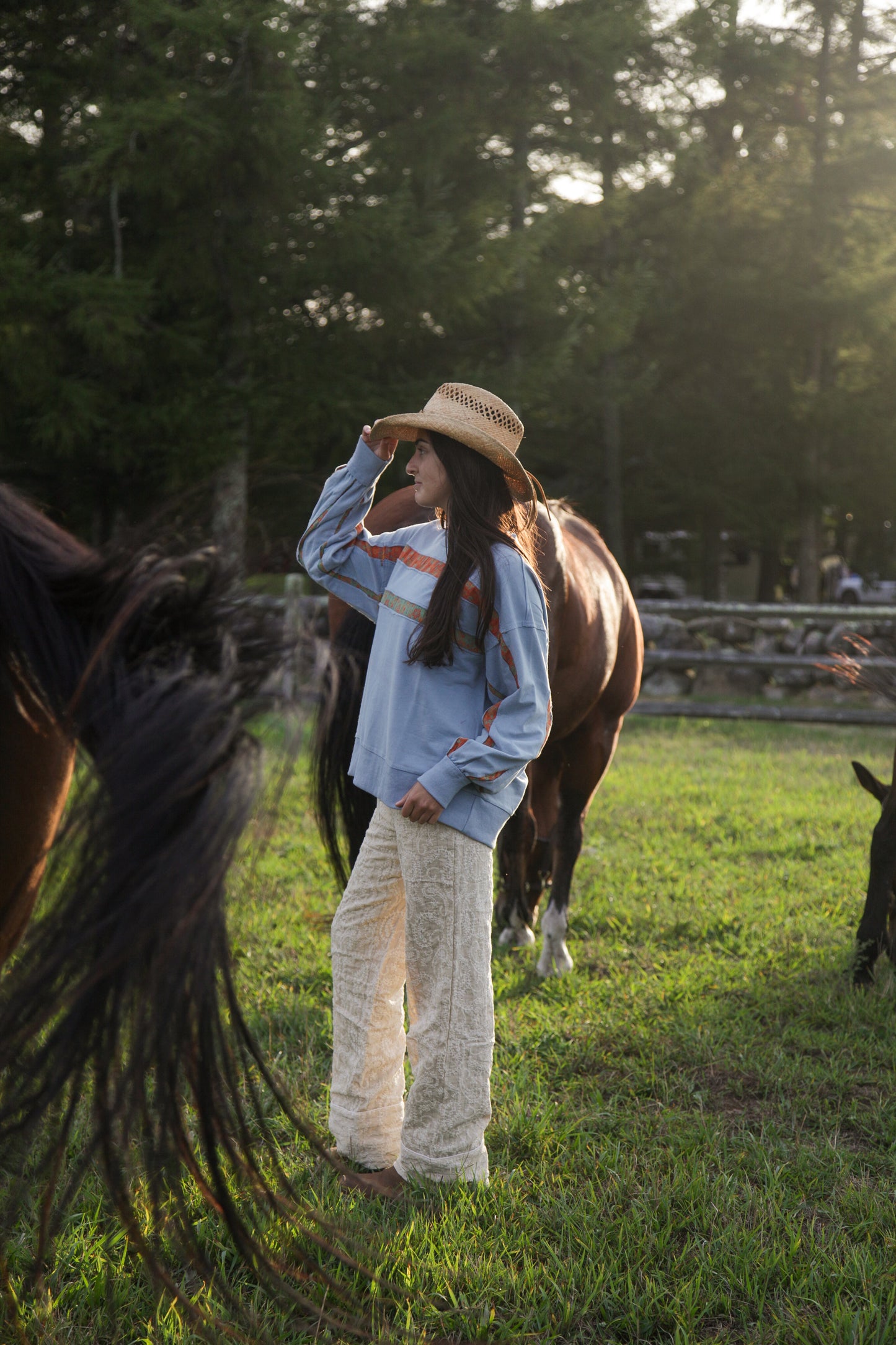 Blue Bird Terry Pullover