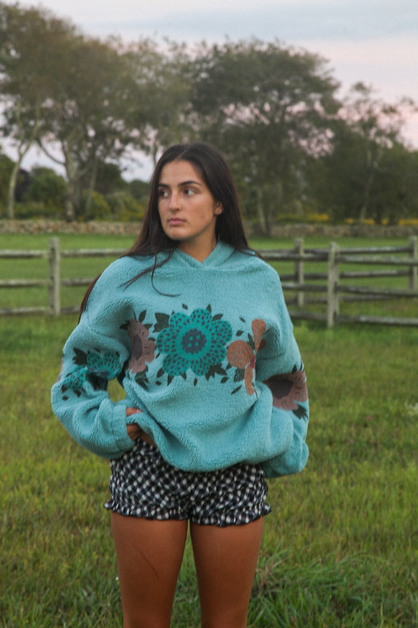 Meadow Pullover