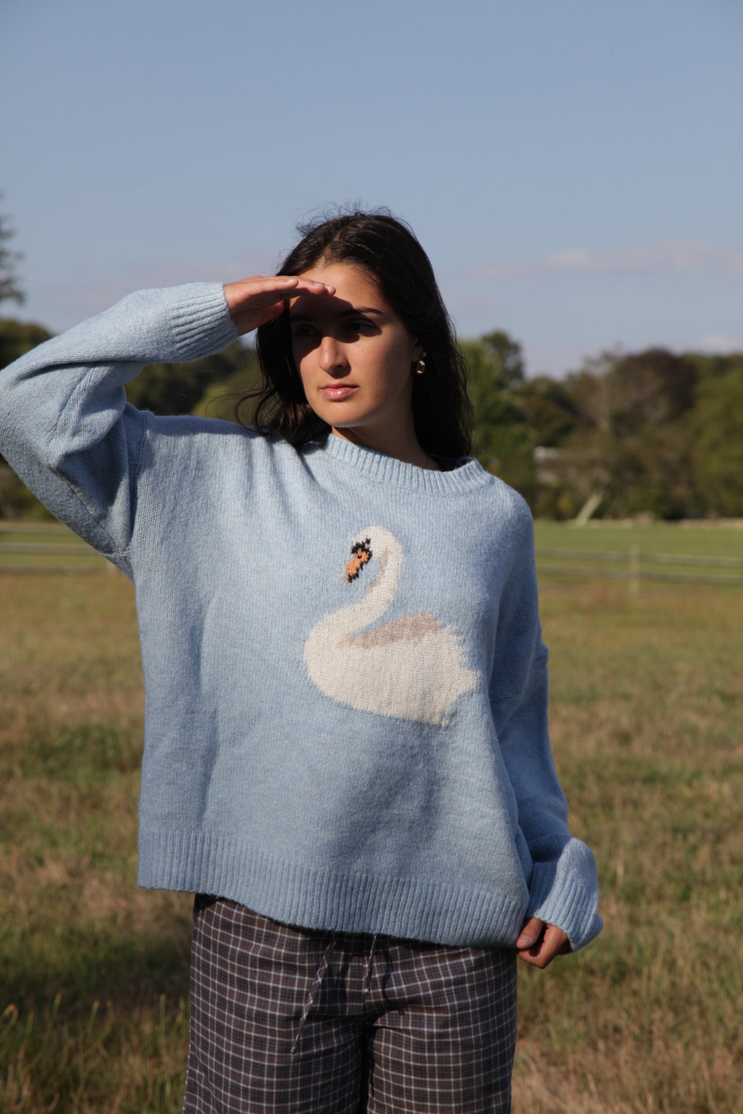 Swan Sweater