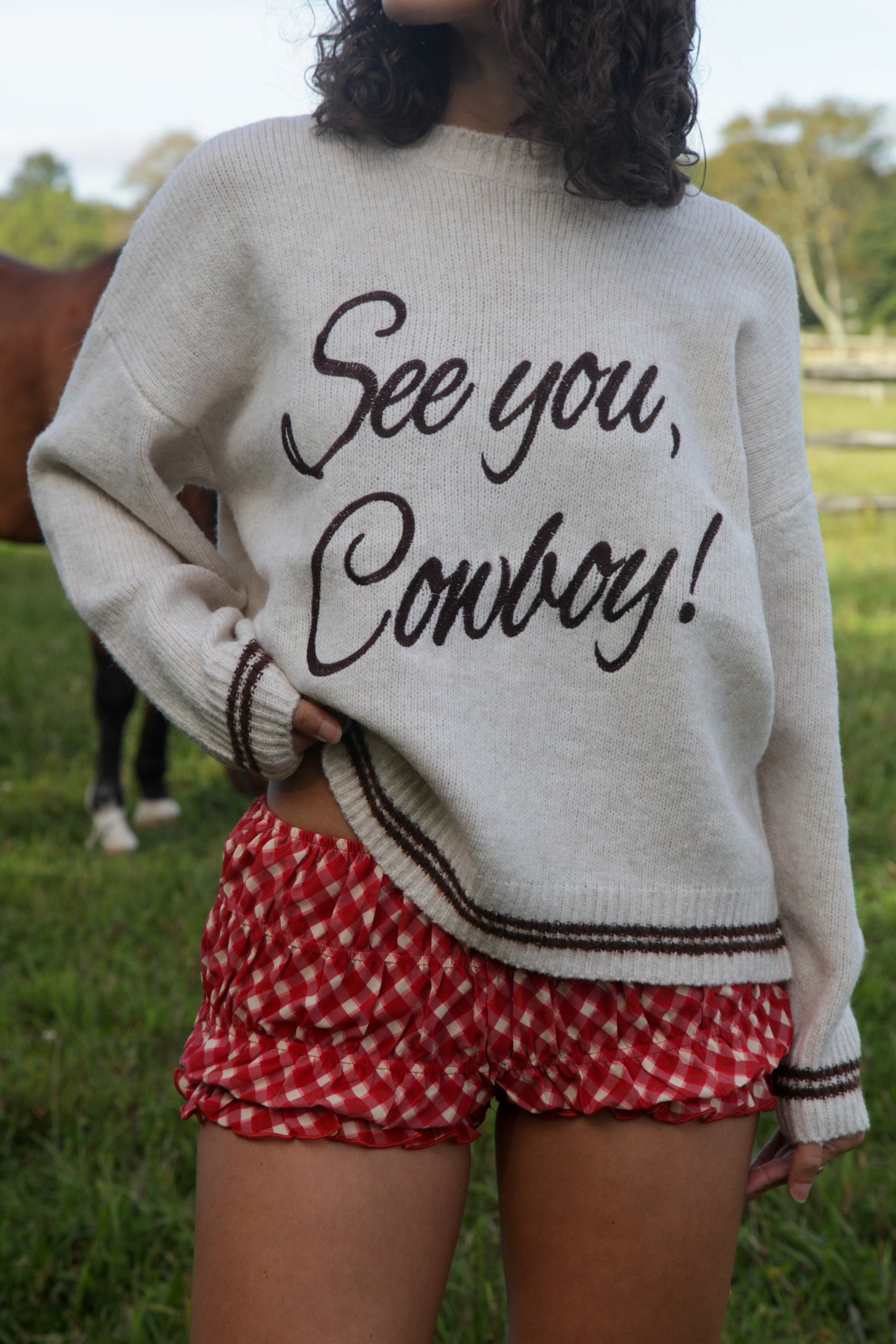 See You Cowboy Sweater