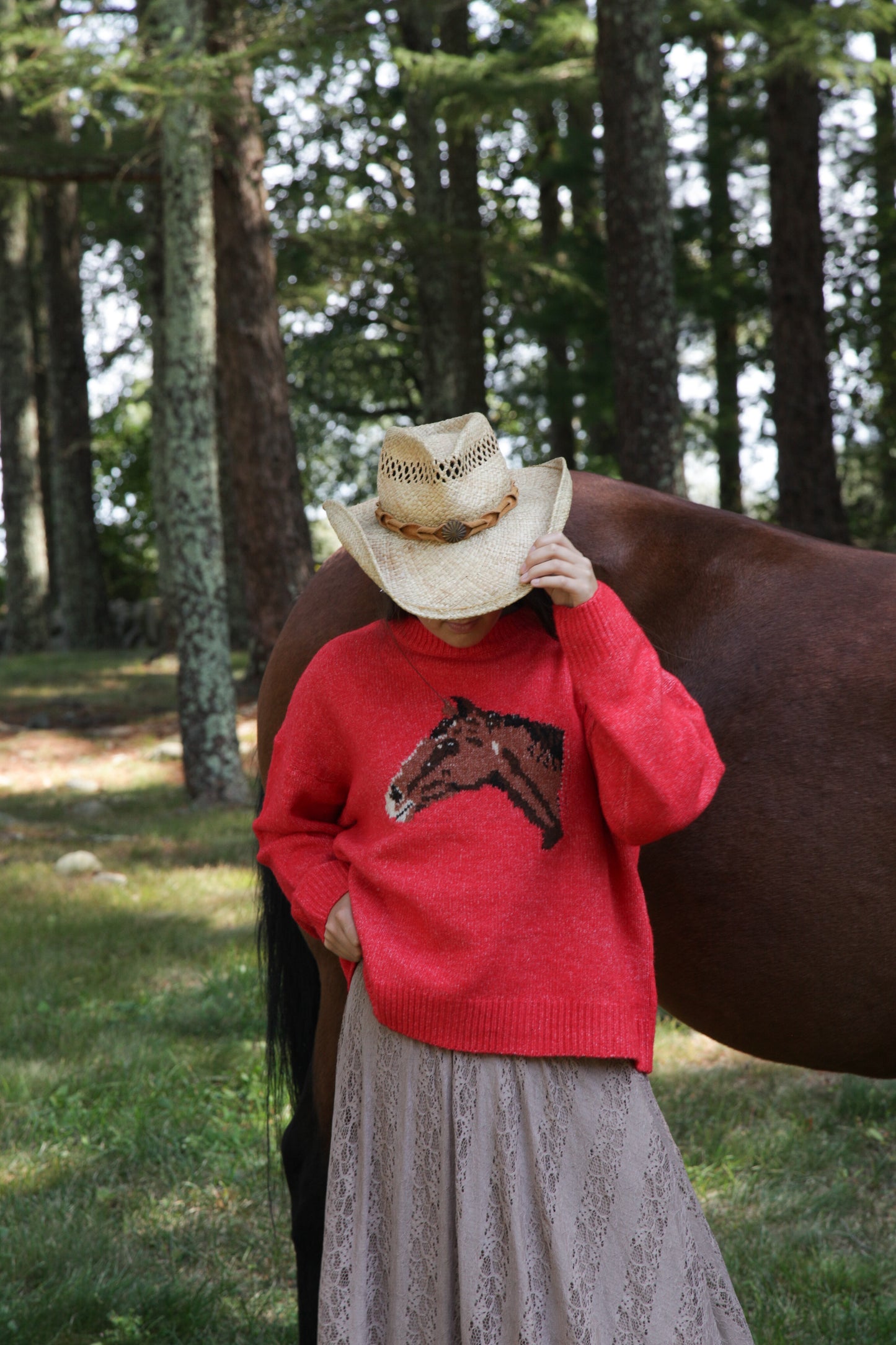 Horse Sweater
