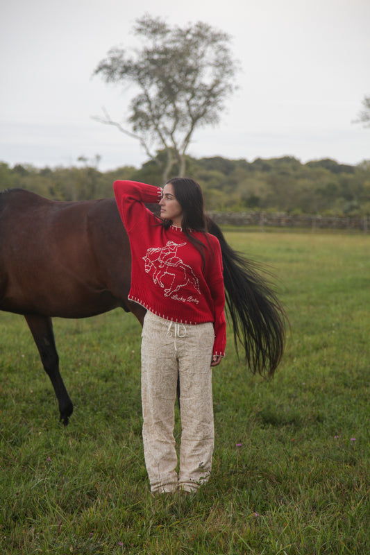 Lucky Baby Stitched Sweater