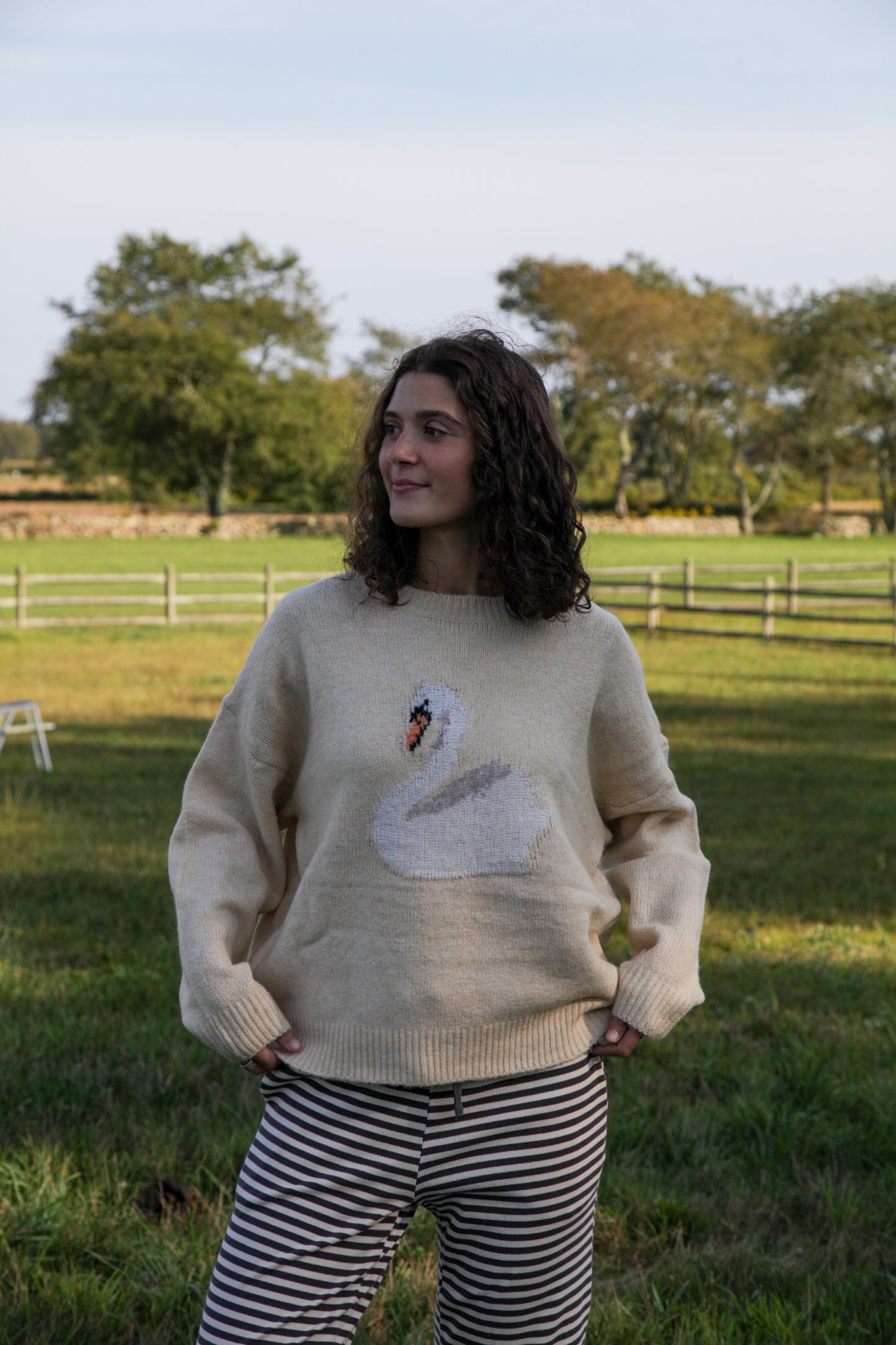 Swan Sweater